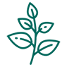 HERBAL MEDICINAL ANIMALS